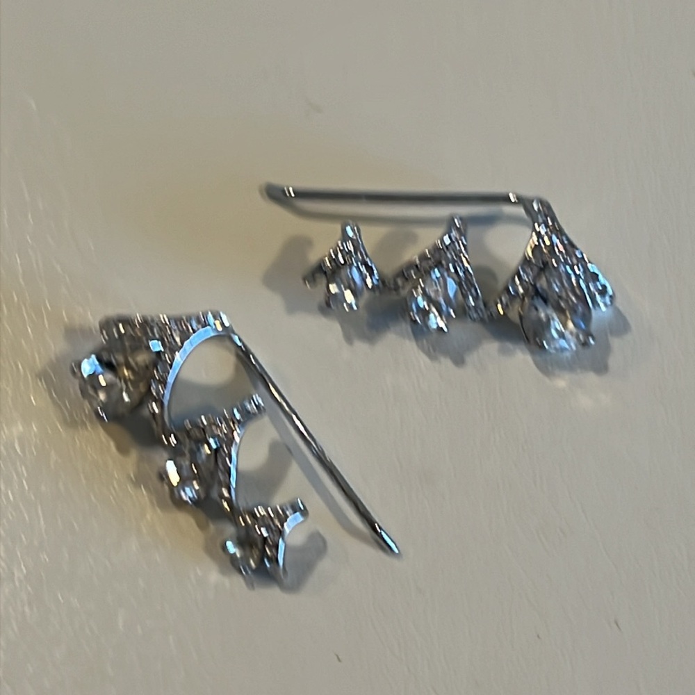 Ear Climbers View 2